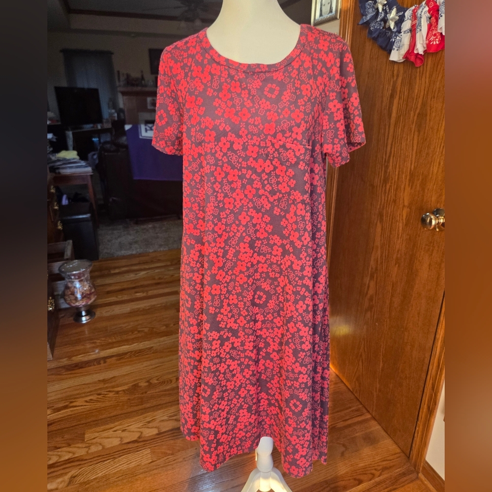 LuLaRoe Csrly Dress